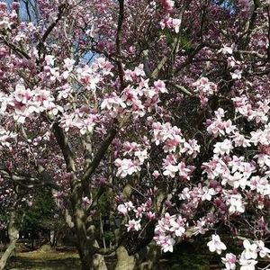 Meet your Posher, Ellie